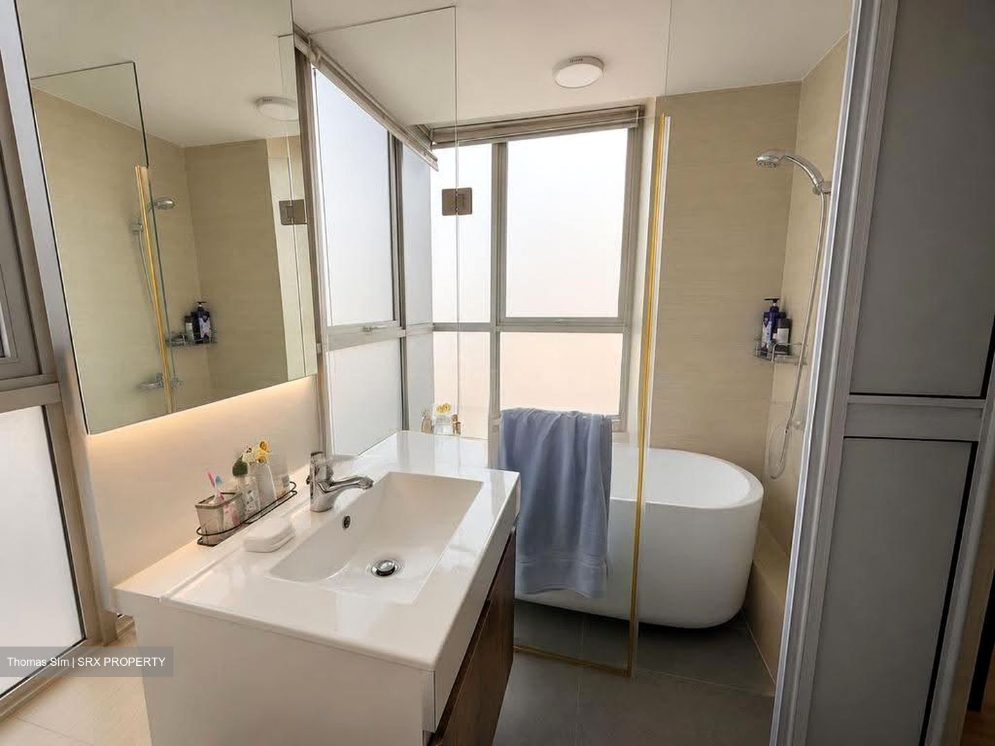 Oasis @ Elias (D18), Condominium #609342181